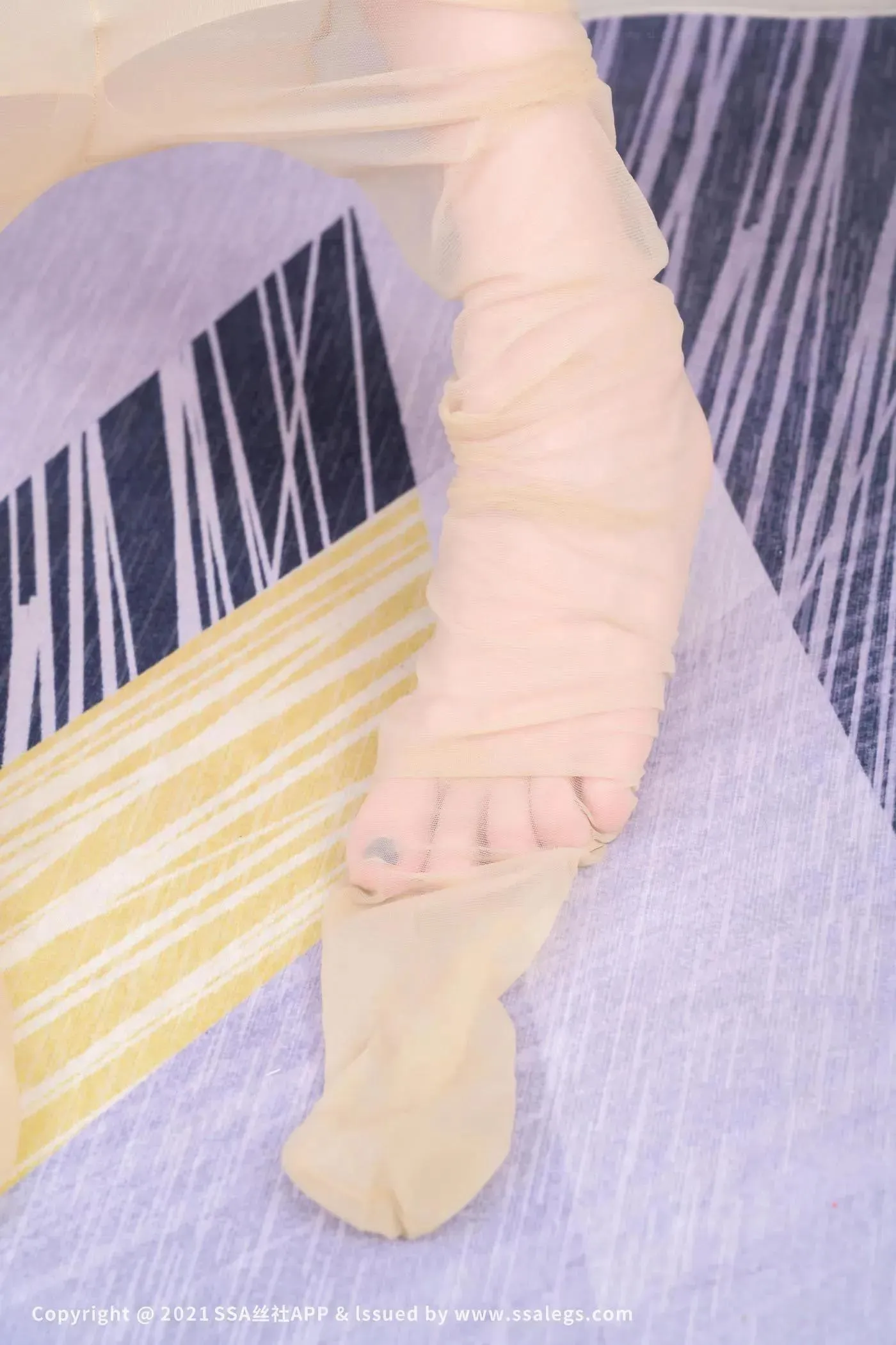[SSA丝社]超清写真 NO.735 模特木子的肉丝袜玉足（下）[23] [47P]插图9
